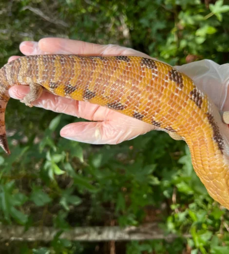 Morgan x Marty (MM-02)