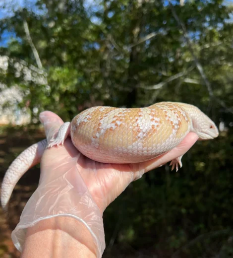 Morgan x Marty (MM-07)