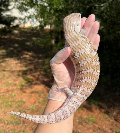 Morgan x Marty (MM-10)